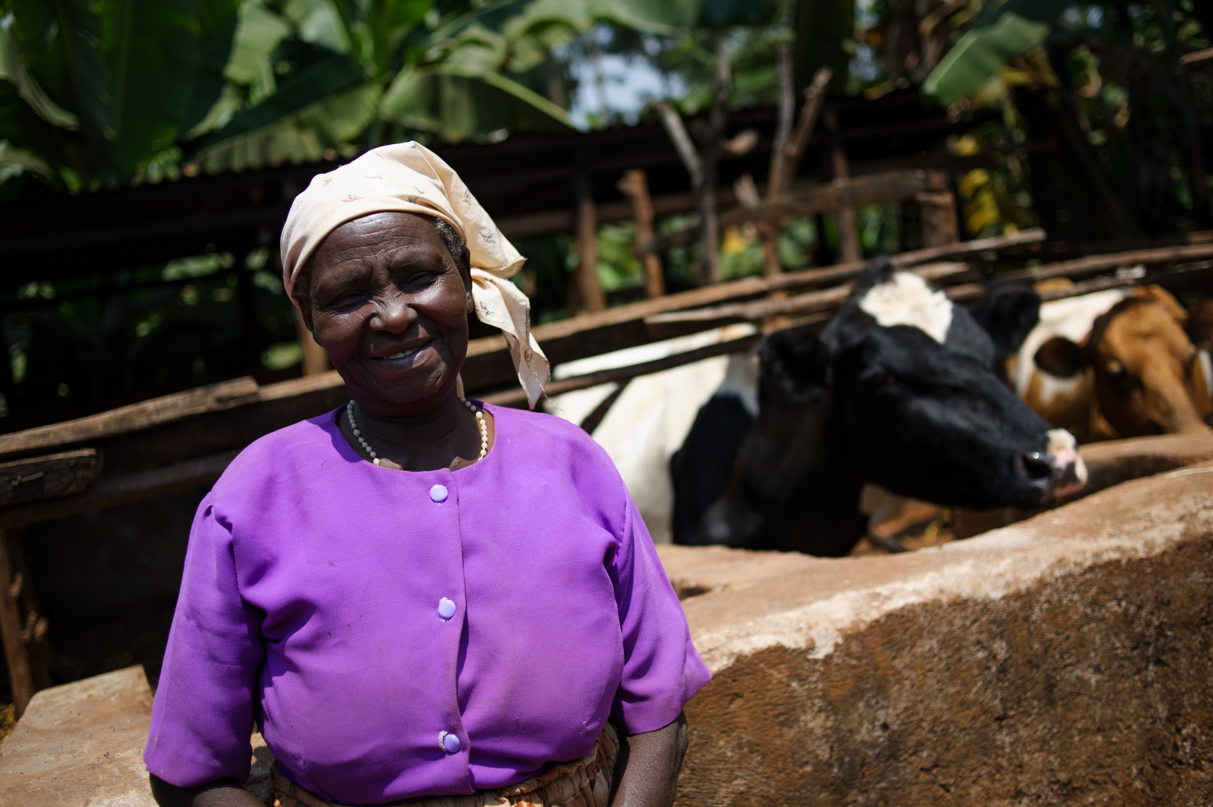 Veronica, from Mozambique, proudly shows off her cows.