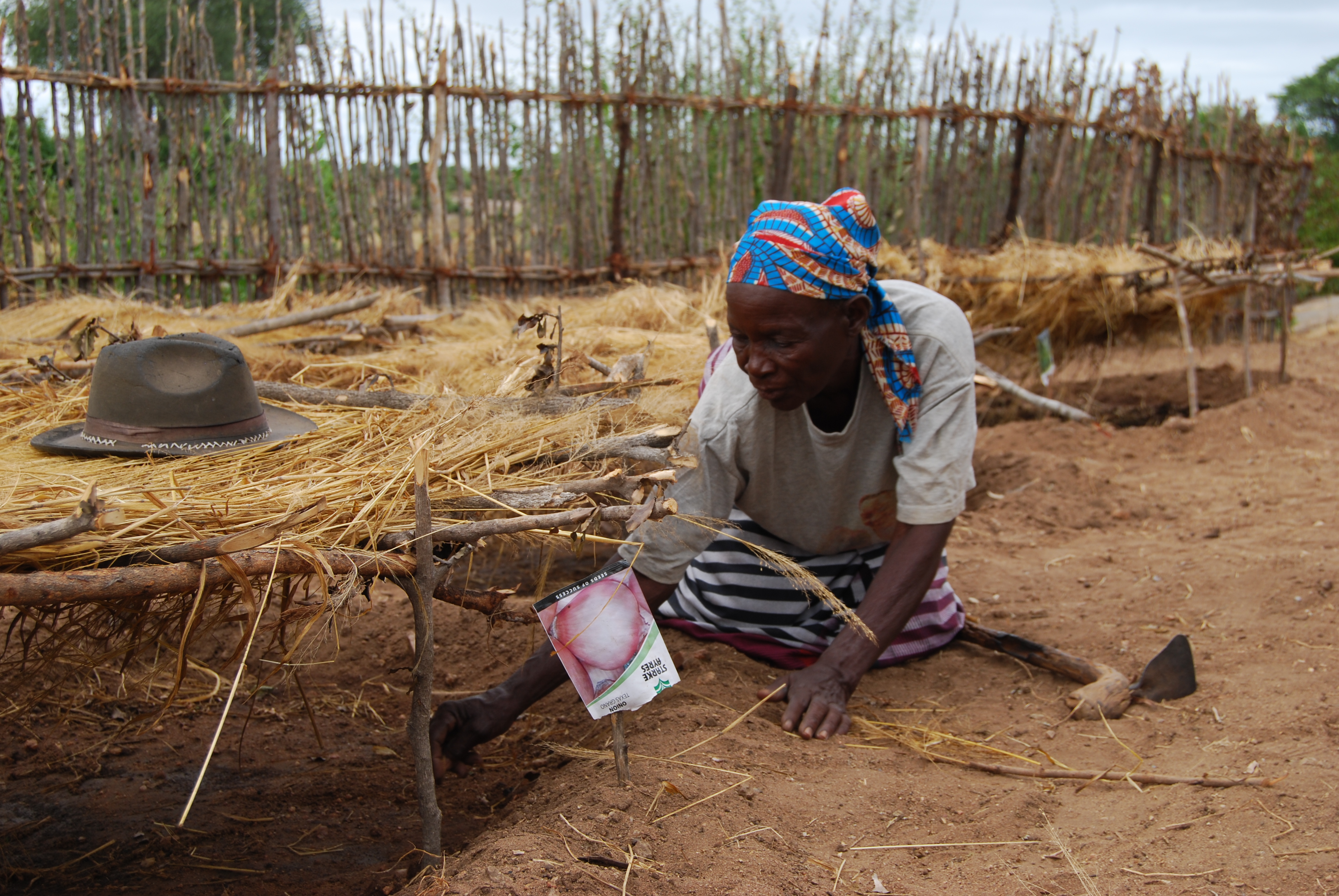 65 year-old Maria farms her land in Mozambique. 